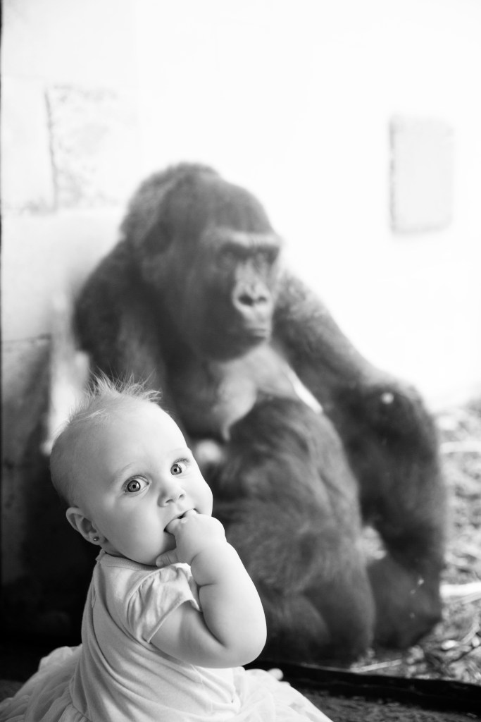 KC Zoo_31bw